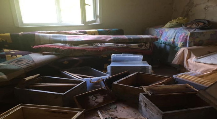 Pencereden eve giren ayı eşyaları parçaladı