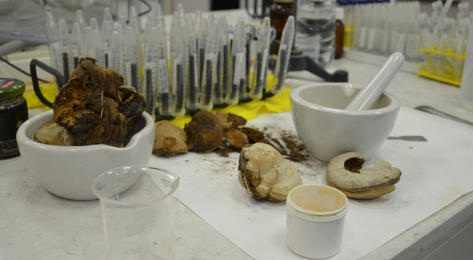 Trakya Üniversitesi akademisyenlerinden kanamayı erken durduran formül