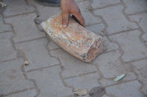 Nevşehir'de fil dişi fosili bulundu