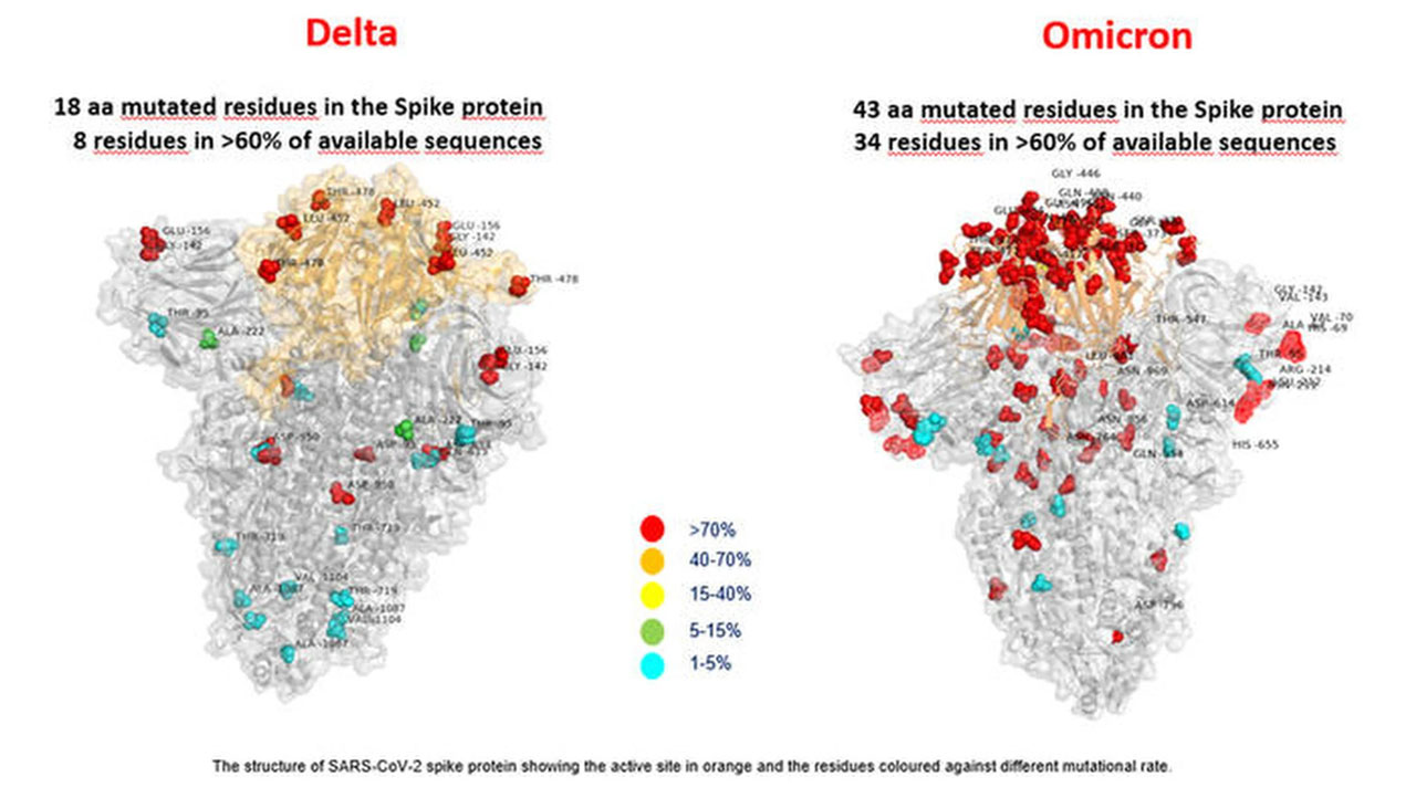 Afrika'da Omicron'dan kaçış sürüyor | İşte Omicron ve Delta farkı