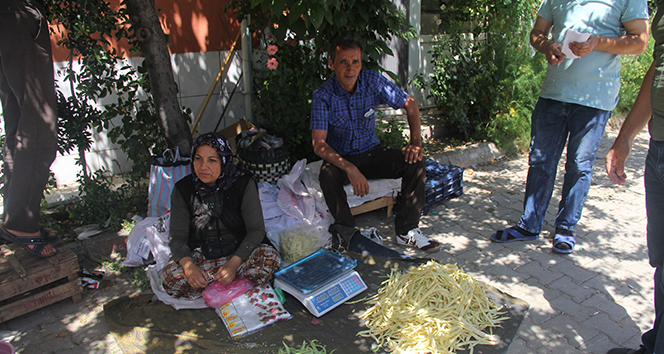 Beyaz fasulyesinin kilosu 10 TL