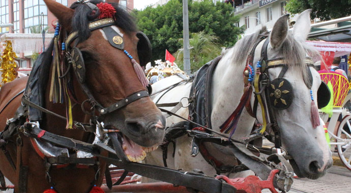 Faytoncuların kapatma kararı tepkisi: Eşimden çok seviyorum bırakmam