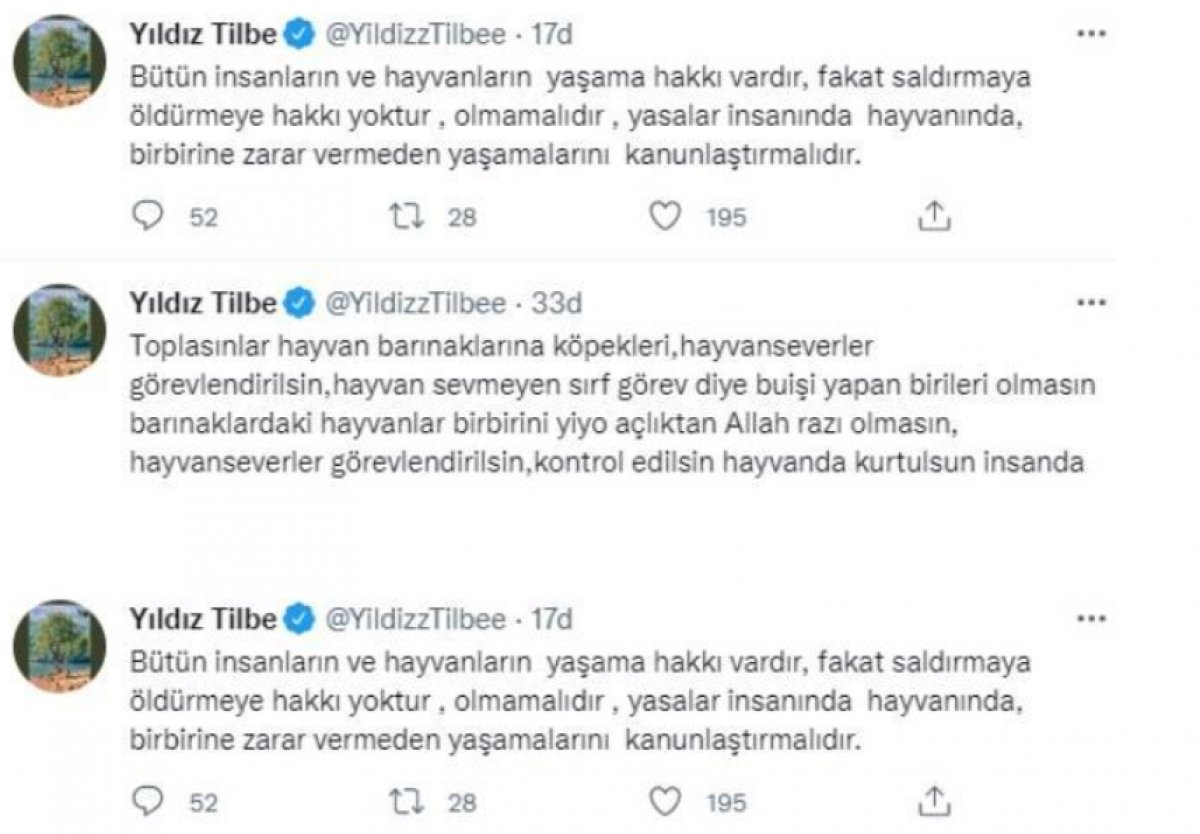 Yıldız Tilbe gelen tepkiler üzerine geri adım attı: Paylaşımlarını sildi