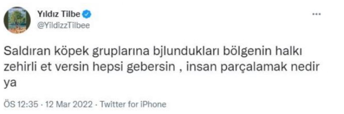 Yıldız Tilbe gelen tepkiler üzerine geri adım attı: Paylaşımlarını sildi