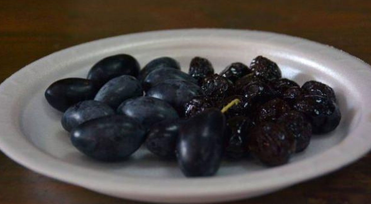 Zeytin çekirdeği yutmak zararlı mı? Zeytin çekirdeği midede erir mi? Canan Karatay açıkladı: Günde 5-6 çekirdek mutlaka yutun