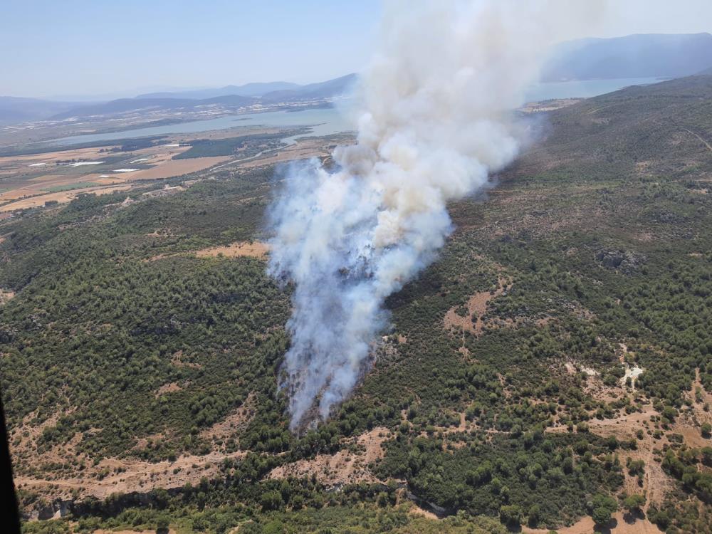 İzmir'de 1 günde 3 yangın çıktı