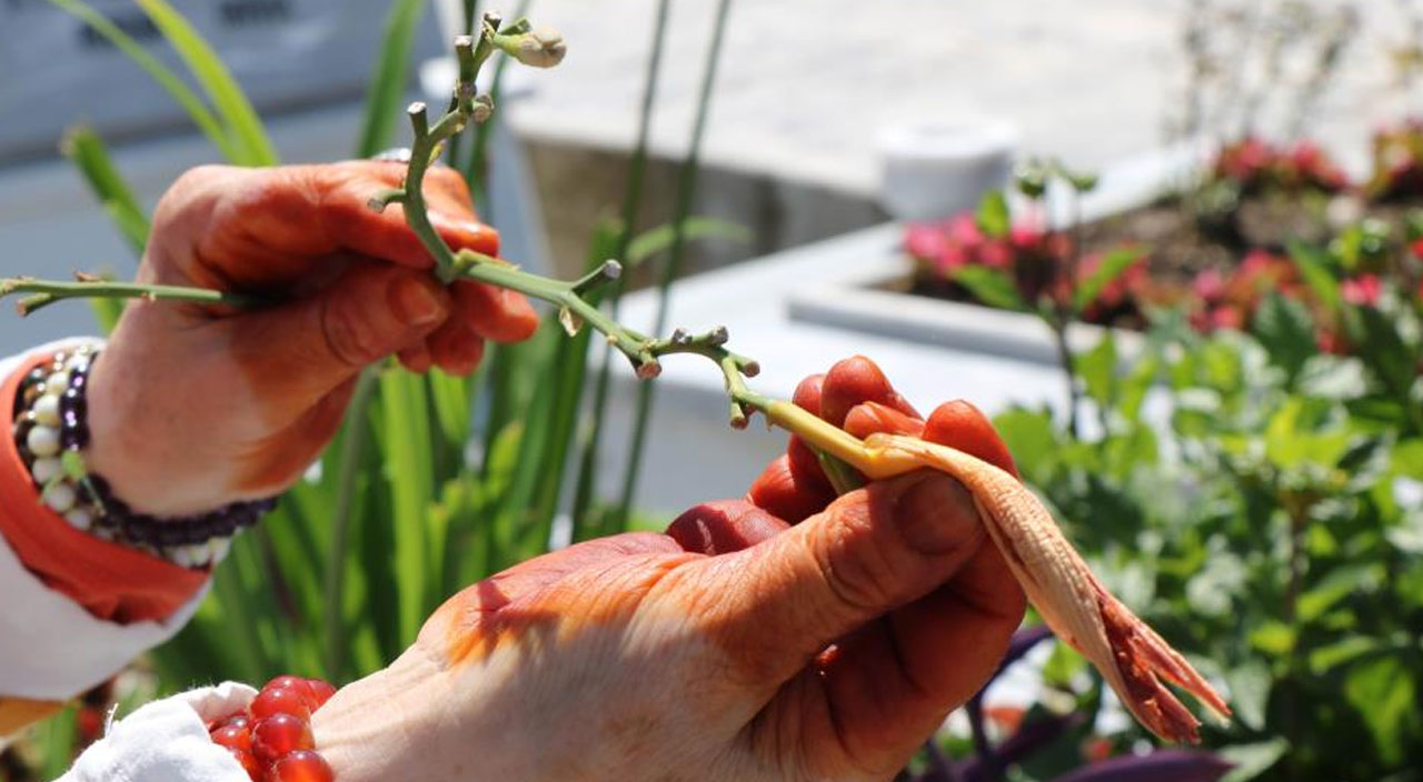 Şehitlikte hüzünlü bayram: Kapıyı açan yok, oğlum sarılmıyor