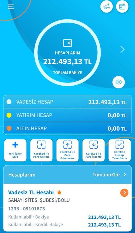 Hesabına 212 bin lira yatan pazarcı, parayı bankaya iade etti