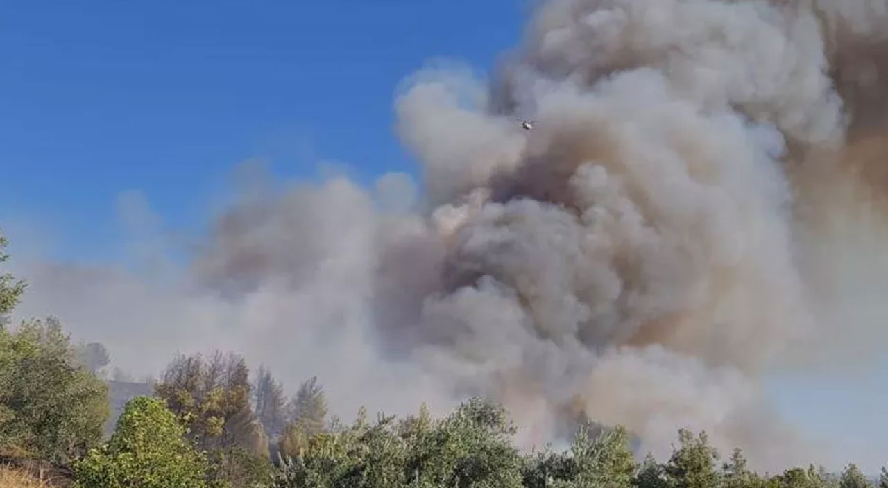 Aydın’da orman yangını: Alevler tarım arazilerine doğru ilerliyor
