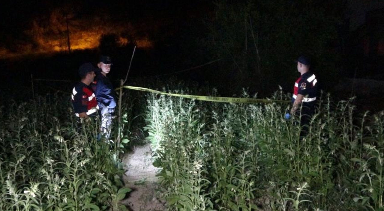 Susam tarlasına giden anne dehşeti yaşadı! 16 yaşındaki oğlunu vurulmuş halde buldu Susam tarlasına giden anne dehşeti yaşadı! 16 yaşındaki oğlunu vurulmuş halde buldu