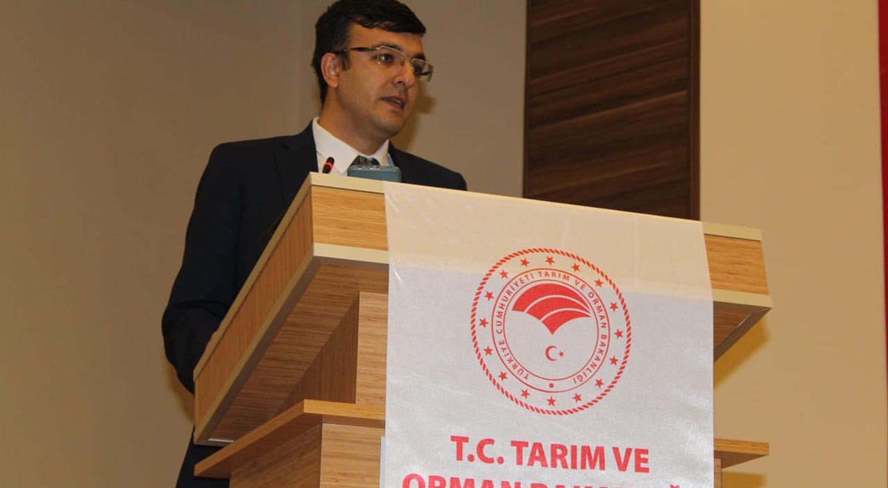 Batı Karadeniz'de baş gösteren tehlike: Kuraklık!