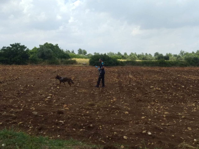 5 gündür aranıyordu! Cesedi ormanda bulundu