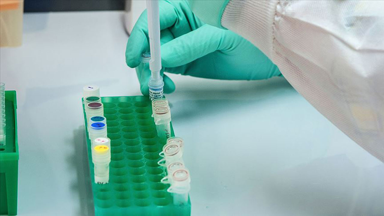 Covid-19'a karşı yeni ilaç umudu!