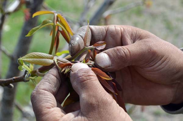 90 bin TL hibe ile başladı