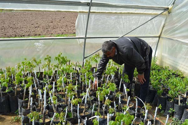 90 bin TL hibe ile başladı