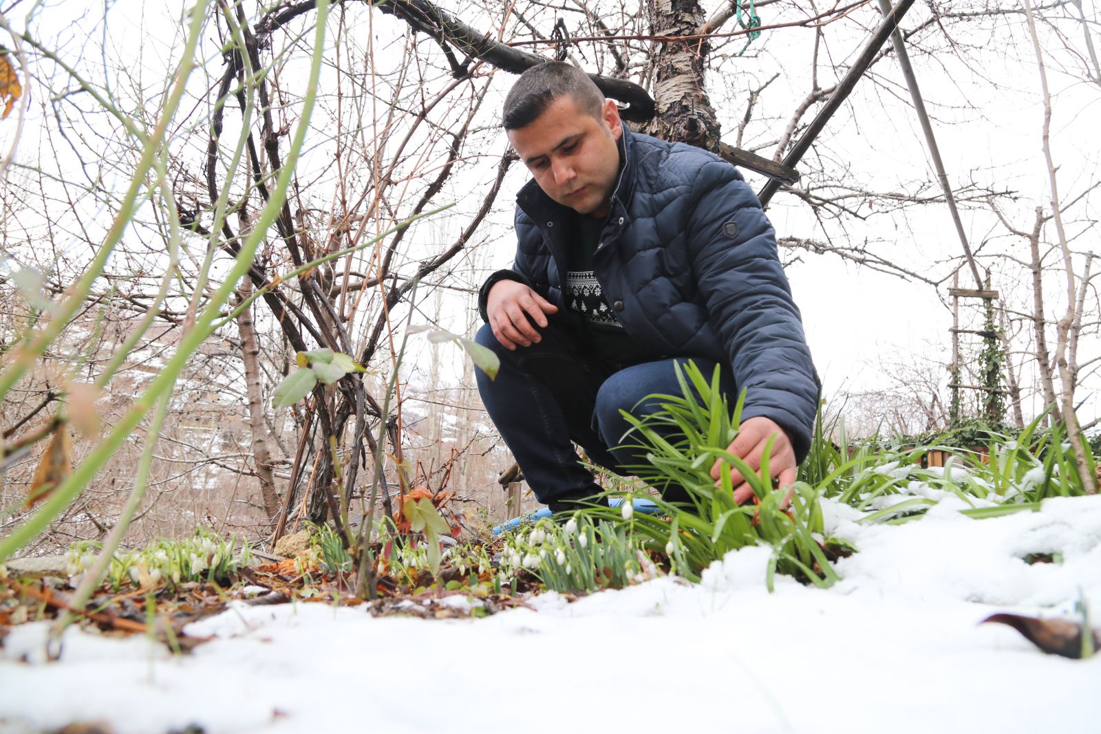 'Baharın müjdecisi' kardelen ve çiğdemler erken çiçek açtı