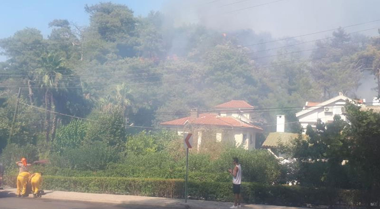 Marmaris'teki orman yangınının çıkış sebebi belli oldu Marmaris'teki orman yangınının çıkış sebebi belli oldu