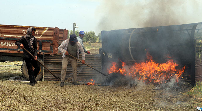 Zahmeti çok kazancı bol lezzet: Firik