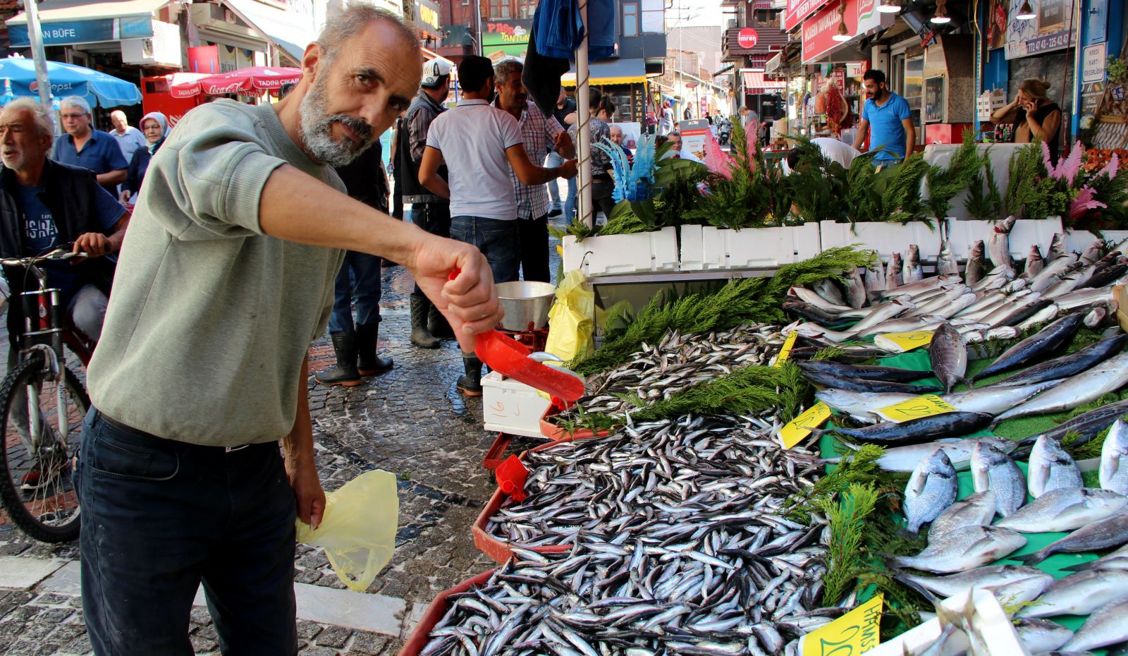 Fiyatı düşüşe geçti, kilosu 20 liradan satılıyor