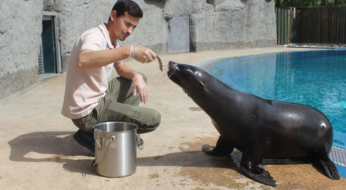 Fok ile bakıcısının dostluğu