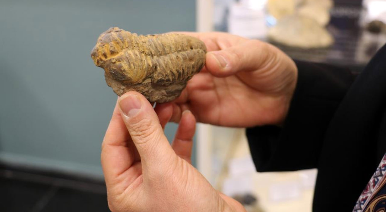 Milyonlarca yıl önce Sivas, Afrika savanlarına benziyordu