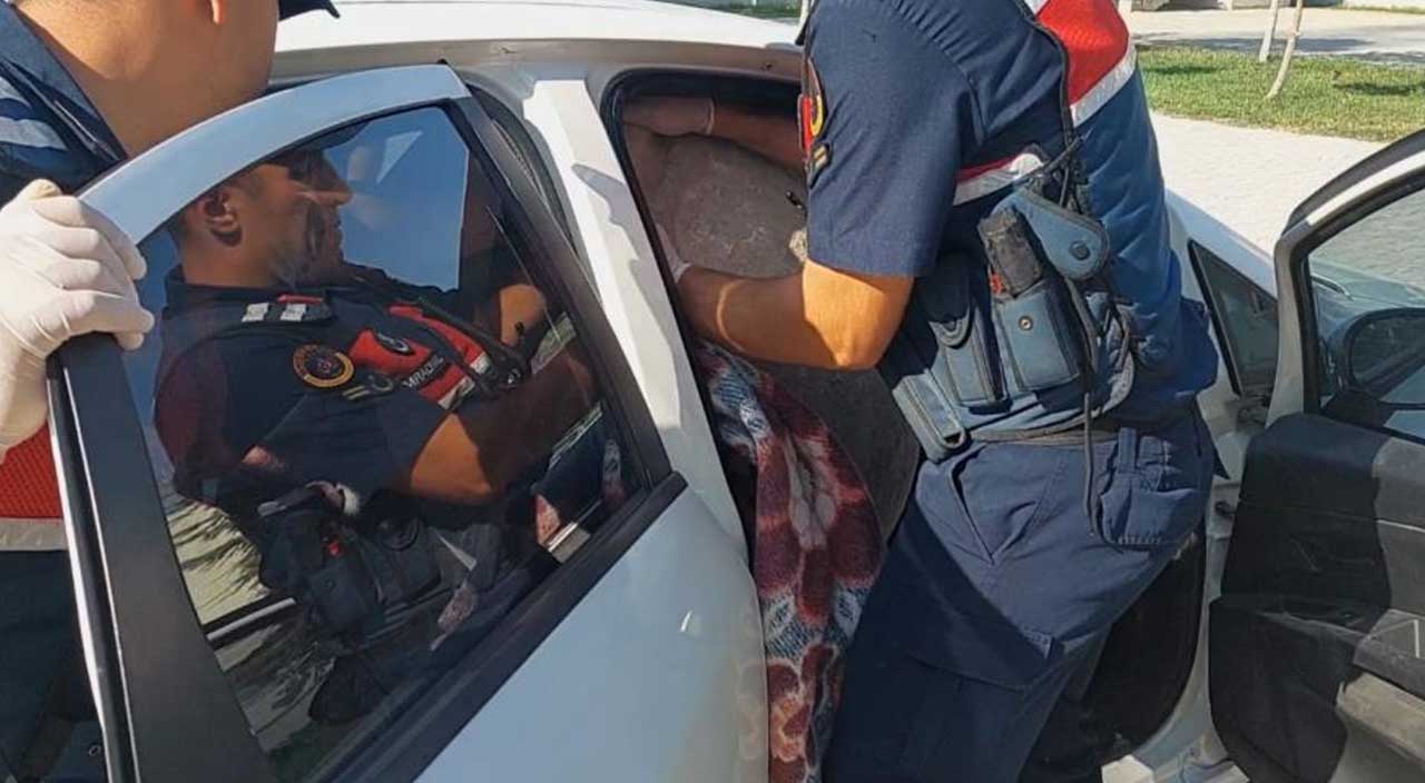 Araç içindeki koca battaniye ekiplerin dikkatini çekti: İçinden çıkanla şoke oldular