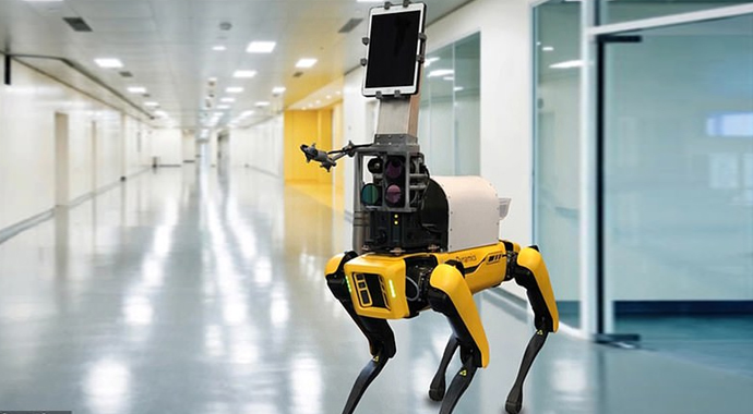 Dr. Spot adlı robot, hastaları muayene ediyor, tıbbi müdahalede bulunuyor