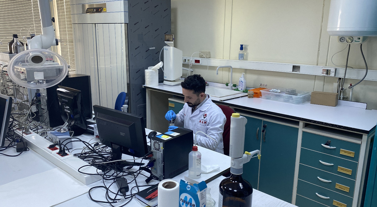 Marmara Denizi’nde alg patlaması alarmı!