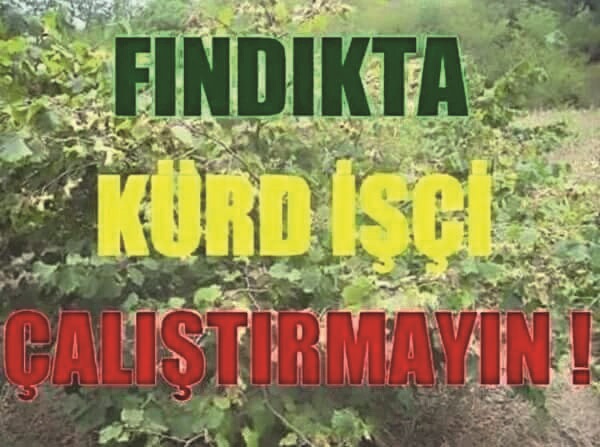 Karadeniz'de tehlikeli oyun, el ilanı dağıtmaya başladılar!