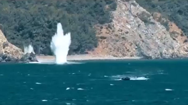 Son 3 gün... Ege, Karadeniz ve Akdeniz'de aynı anda yapılacak