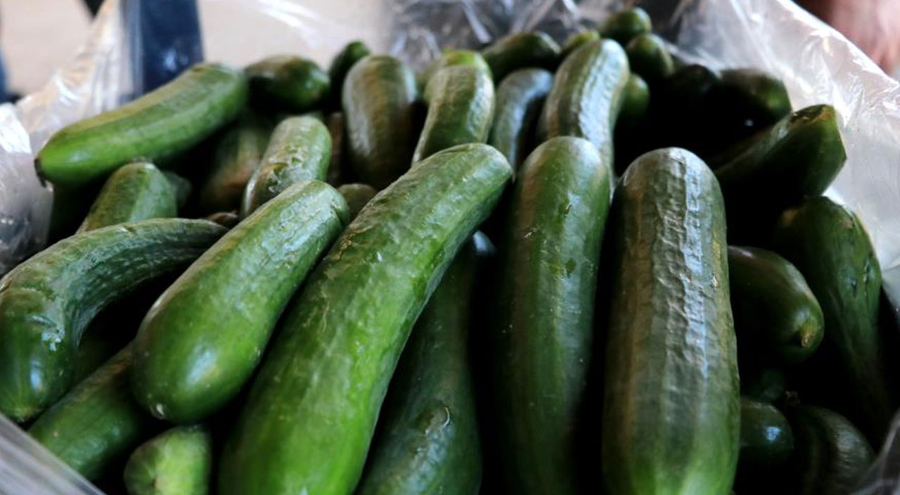 Ucuz sebze meyve için tarih verildi: Hasatlar başladı fiyatlar düşüşe geçti!