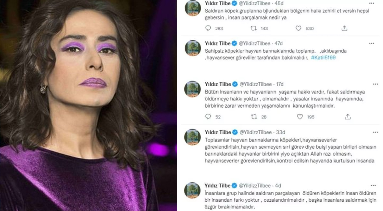 Yıldız Tilbe'den kendisini eleştirenlere sert cevap: Evinize alın!