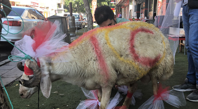 Kars’ta gelin adayına 