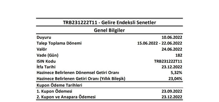 Gelire endeksli senet ihracı şartları açıklandı Gelire endeksli senet ihracı şartları açıklandı