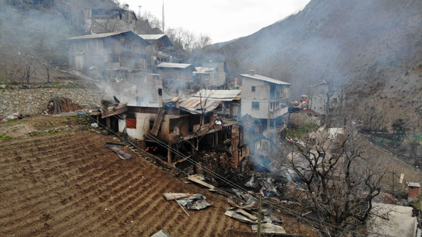 Artvin'deki yangının boyutu gün ağarınca ortaya çıktı