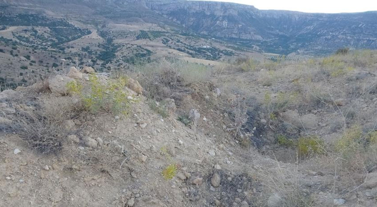 Binlerce yıllık höyük definecilerin hedefinde: “Altında altın var” Binlerce yıllık höyük definecilerin hedefinde: “Altında altın var”