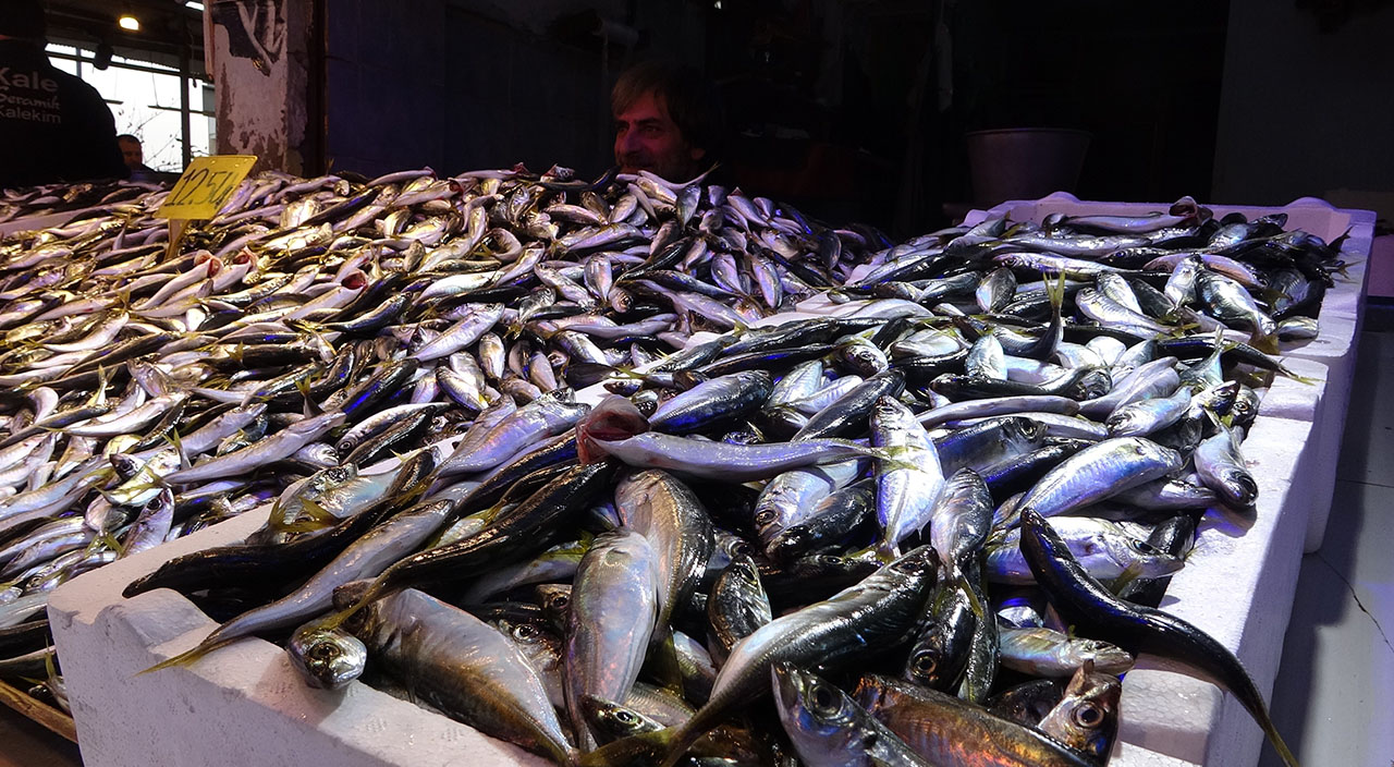 Hamsinin fiyatı uçtu! Umutlar Gürcistan'a kaldı