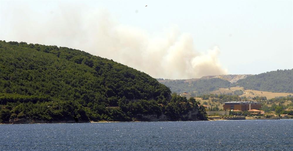 Gelibolu Yarımadası'nda orman yangını