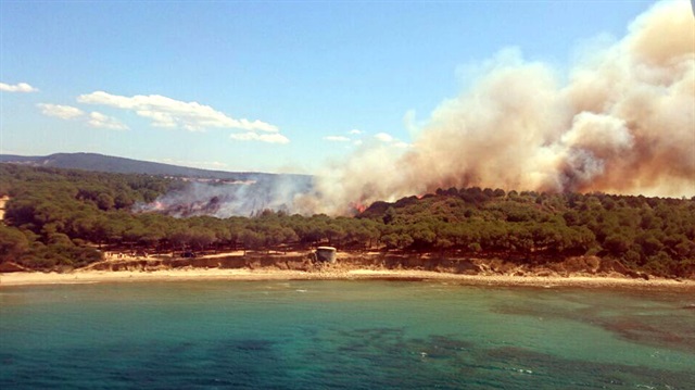 Gelibolu Yarımadası'nda orman yangını