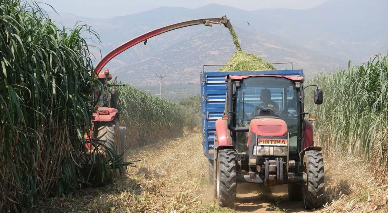 10 yaşındaki kızı internetten gördü, ailenin hayatı değişti! Sonuca inanamıyorlar...