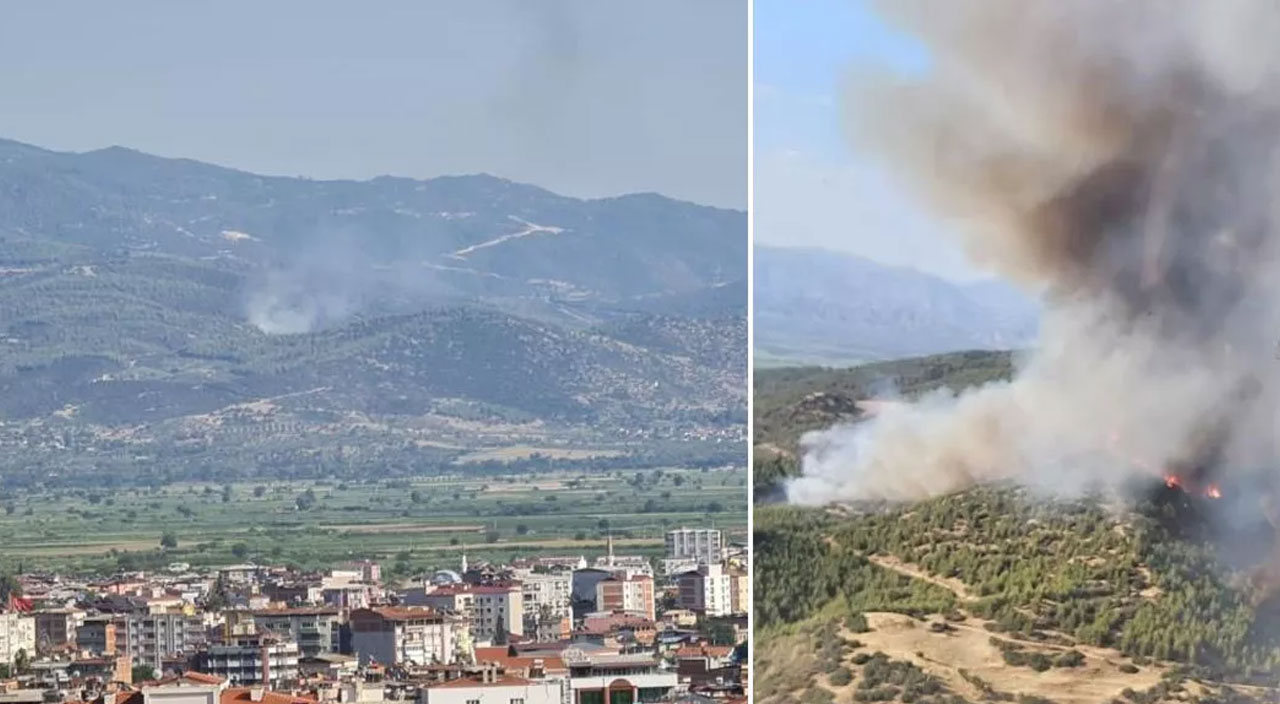 Aydın’da orman yangını: Alevler tarım arazilerine doğru ilerliyor