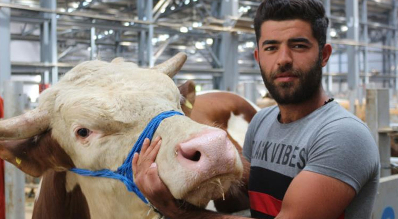 Pazarın gözdesi 'Dadaş': Hem kilosuyla hem de fiyatıyla dikkat çekiyor