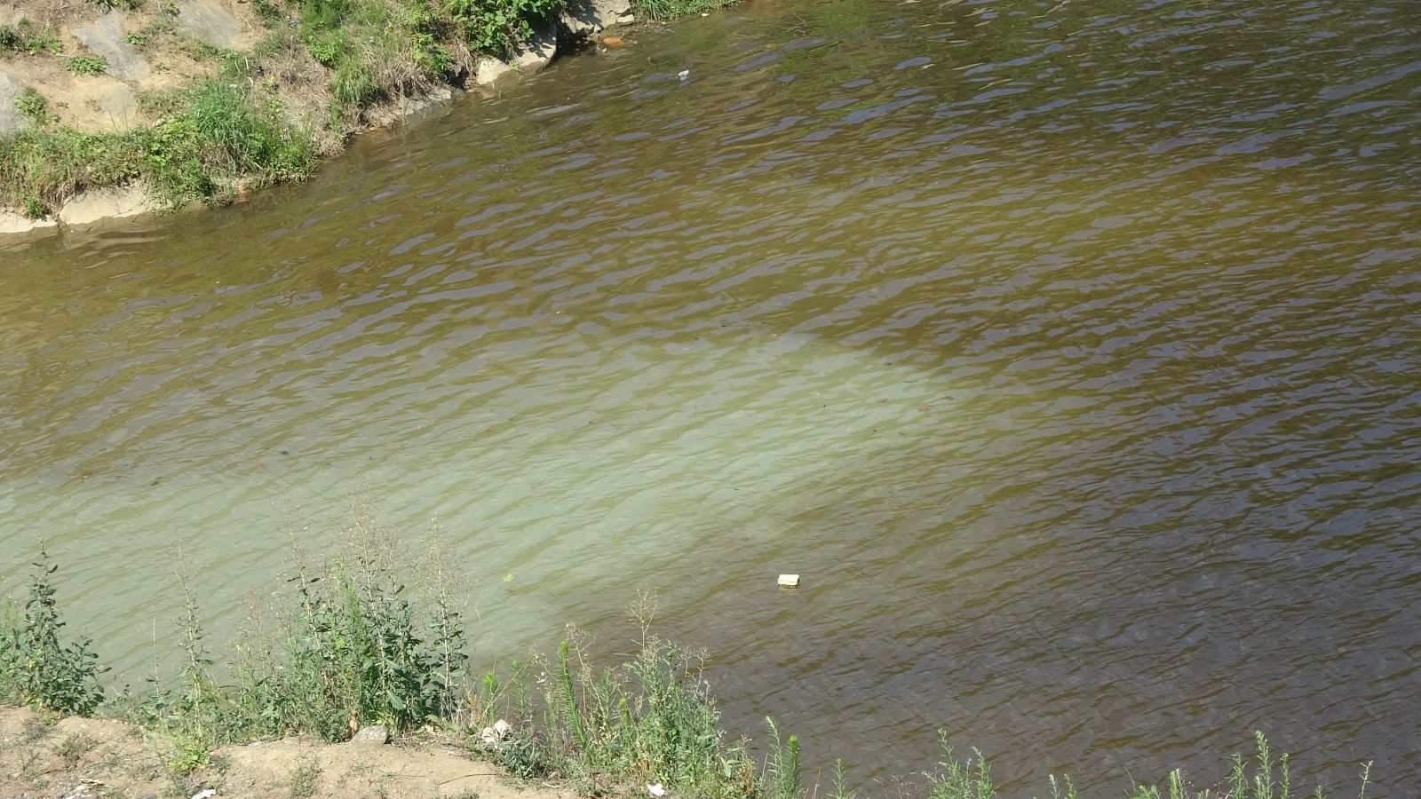 Bu göl siyah görüntüsü ile dikkat çekiyor! Yok olma tehlikesi ile karşı karşıya...