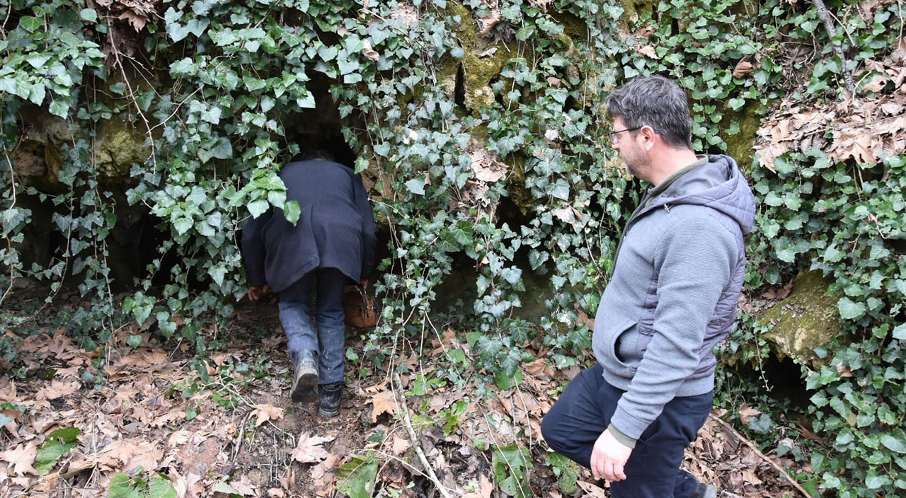 Gören hayrete düştü: Hayvan otlatırken tesadüfen buldular