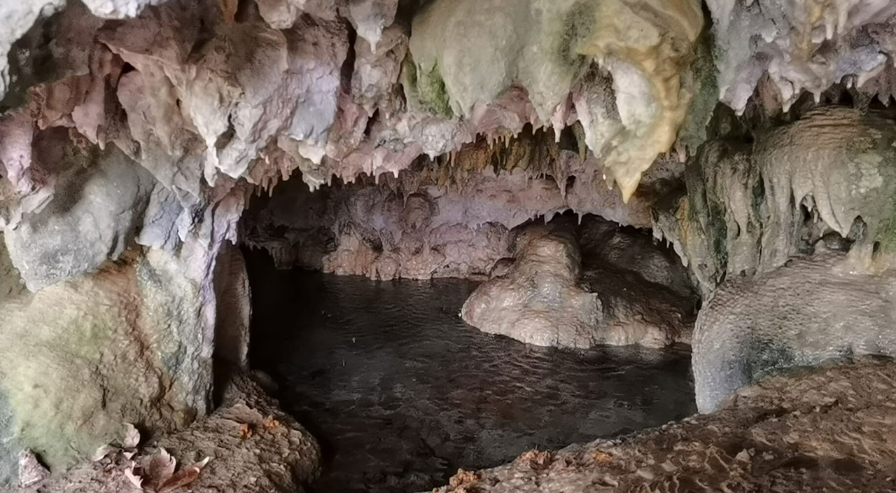 Gören hayrete düştü: Hayvan otlatırken tesadüfen buldular