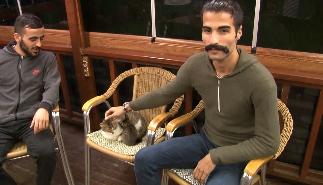 Bağcılar’daki kedi saldırısının görgü tanıkları konuştu Bağcılar’daki kedi saldırısının görgü tanıkları konuştu