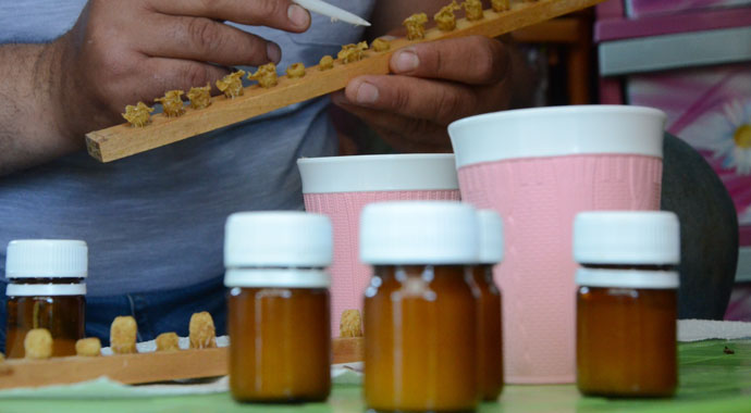 Gramla sağılıyor, üreticilerin yüzünü güldürüyor