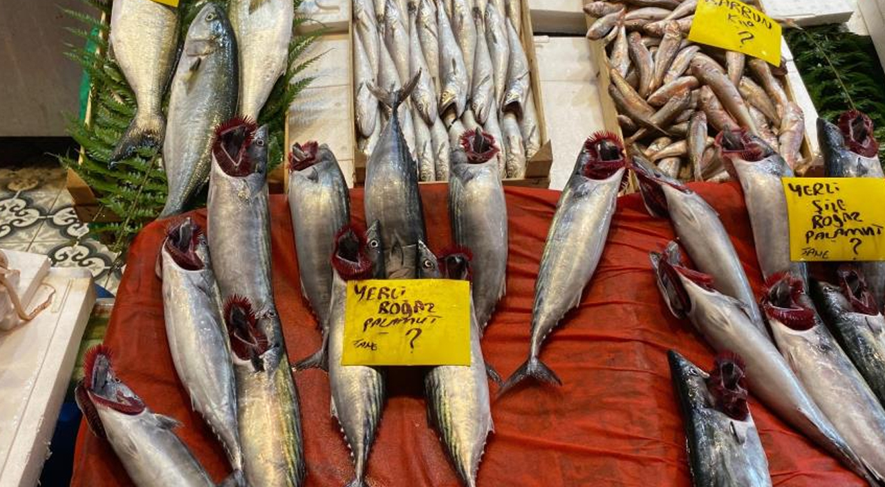 Av yasağı bitti balık tezgahları şenlendi: Karaköy’de balıklar tezgahlarda yerini aldı