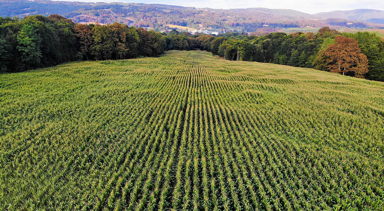 Bir talaş ile üretimi dörde katladı, bölgenin en büyüğü oldu