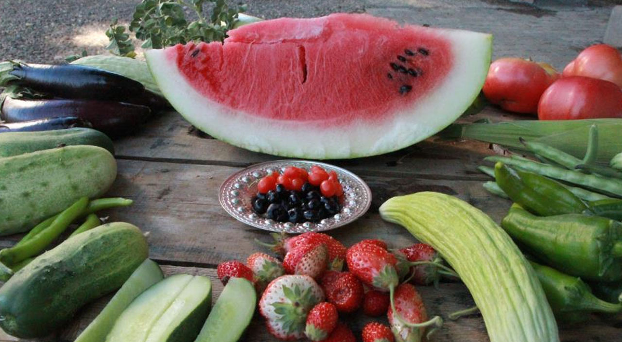 Çorak araziyi meyve bahçesine çevirdi: Bedavaya dağıtıyor